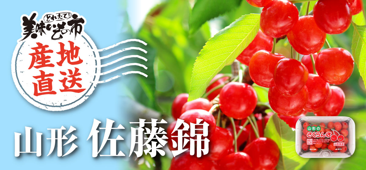 産直 とれたて！美味いもの市 山形 佐藤錦
