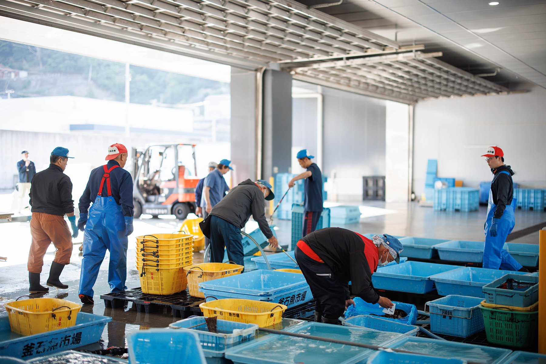 漁港での作業風景