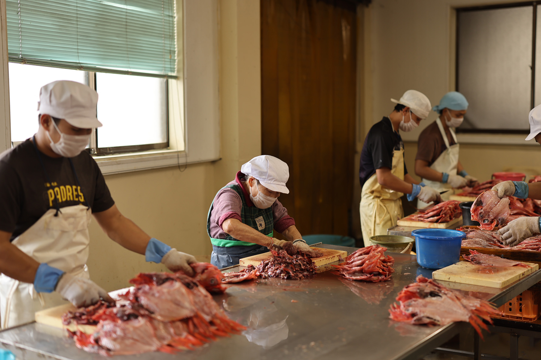 魚の加工風景